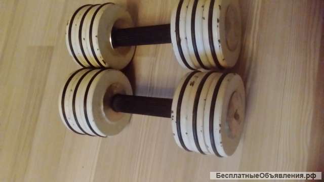 Наборные гантели весом 10 кг.каждая.
