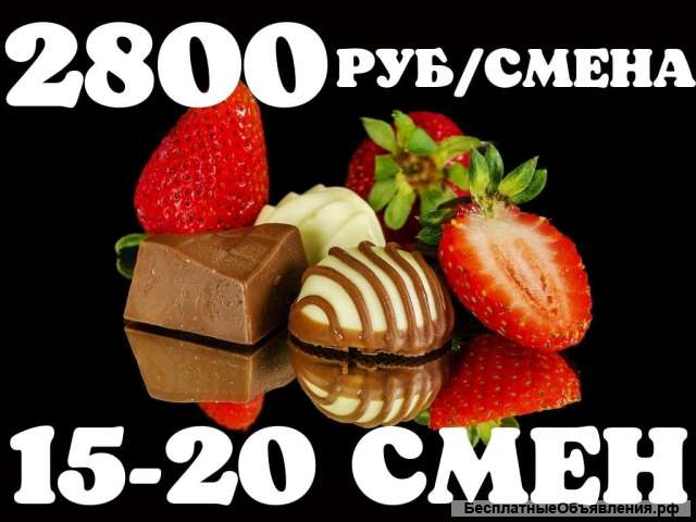 Упаковщик шоколада Вахта 15/15 с бесплатным питанием+ проживанием