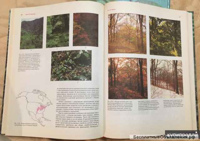 П. Рейвн, Р. Эверт, С. Айкхорн. Современная ботаника (в двух томах)