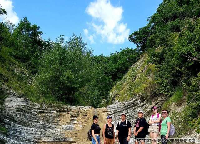 Походы в горы, лес