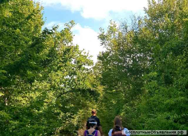 Походы в горы, лес