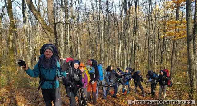 Походы в горы, лес