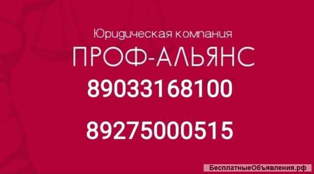 Юридическое сопровождение деятельности организаций