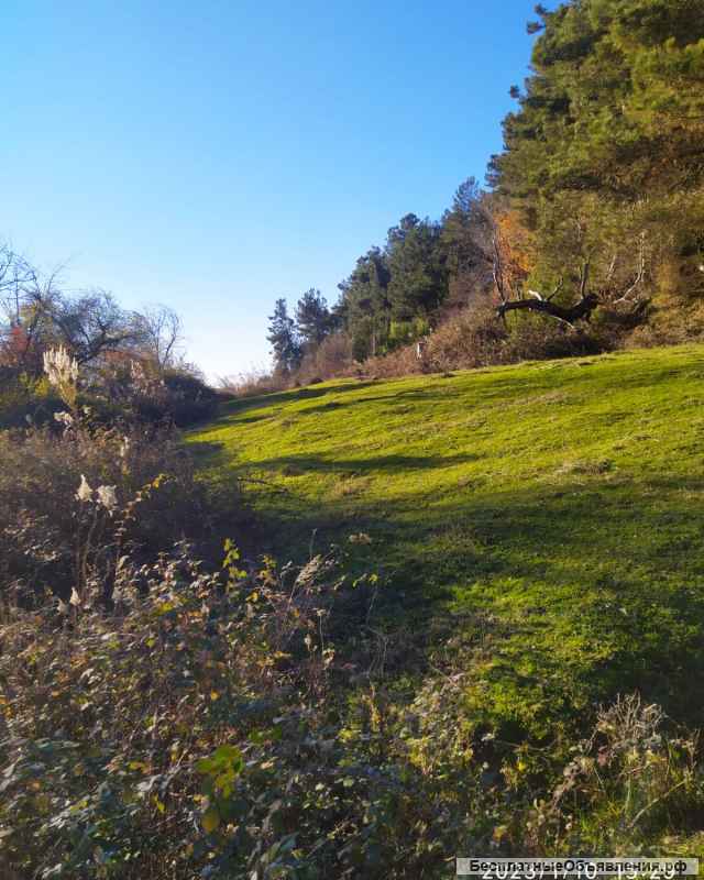 Участок 25 соток в с. Лдзаа