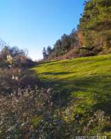 Участок 25 соток в с. Лдзаа