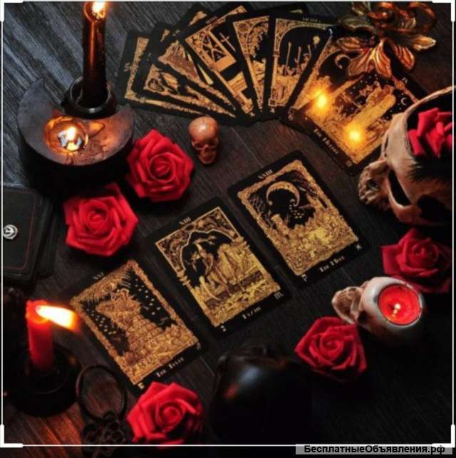 Последовательница и ученица Мехди Эбрагими