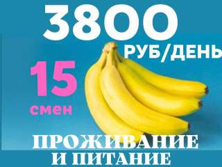 Вахта 15/30/60 Москва Упаковщик(ца) фруктов с бесплатным проживанием и питанием Без опыта