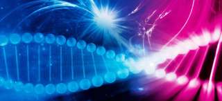 Женский круг онлайн Skype Исцеления