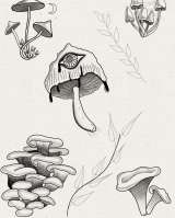 Татуировка