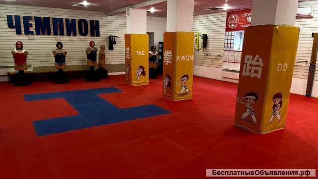 Секция тхэквондо ВТФ (СК Чемпион)