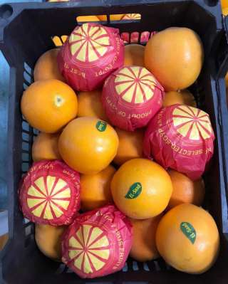 Мандарины и апельсины из Египта