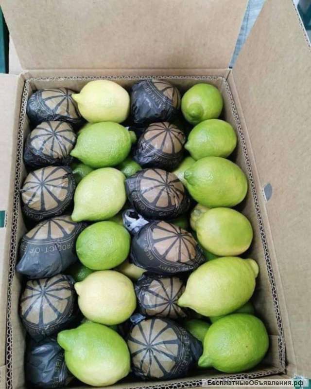 Мандарины и апельсины из Египта