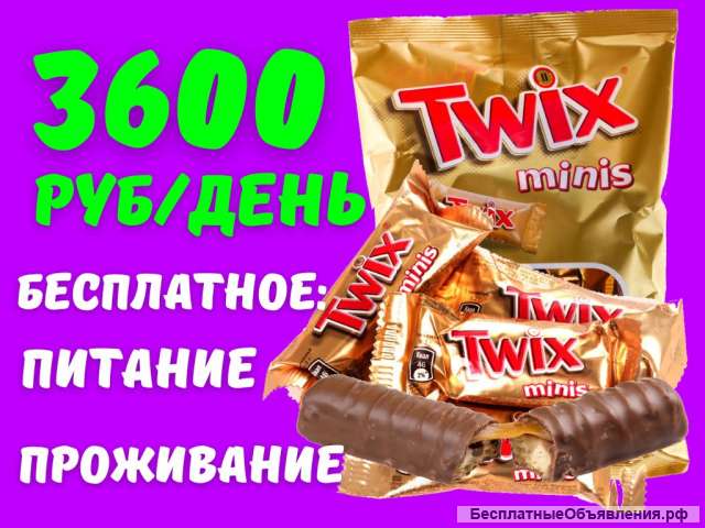 Упаковщик(ца) конфет Вахта 15/15 с питанием и проживанием, без опыта