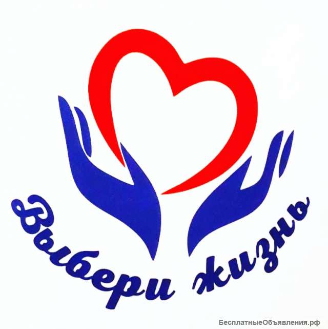 Помощник руководителя