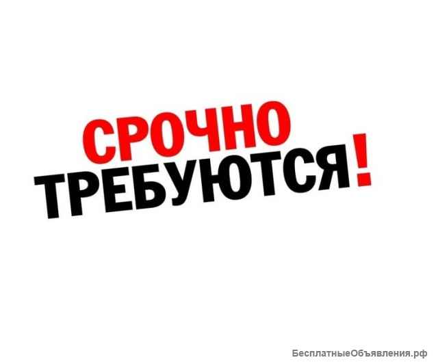 Работник фирмы без опыта