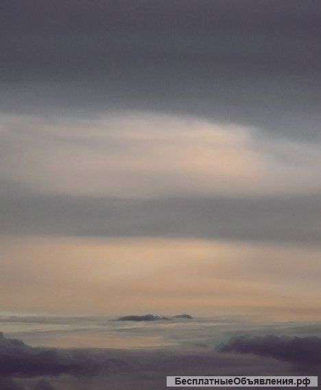 Художник любого профиля