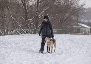 Онлайн-консультация кинолога