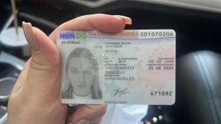 Визовые услуги, ВНЖ Венгрии, гражданство ЕС