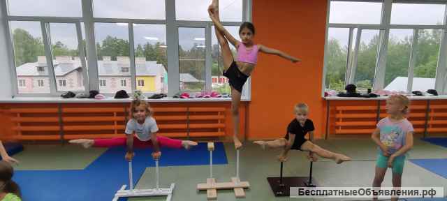 Спортивная акробатика в г. Балашиха