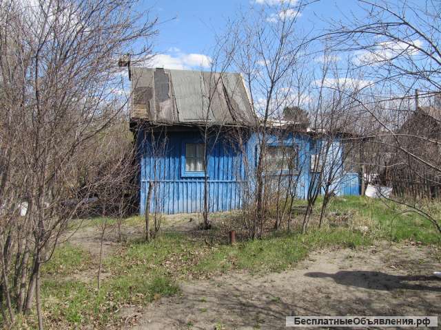 Дача СНТ Химик-1