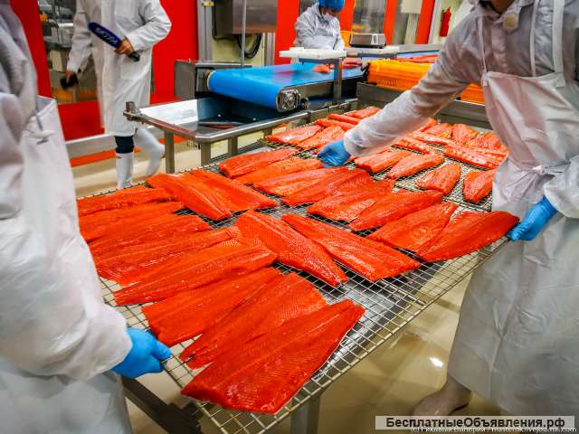 Рыбообработчики на рыбзавод