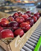 » Оптовая продажа яблок разных сортов и калибров