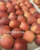 » Оптовая продажа яблок разных сортов и калибров