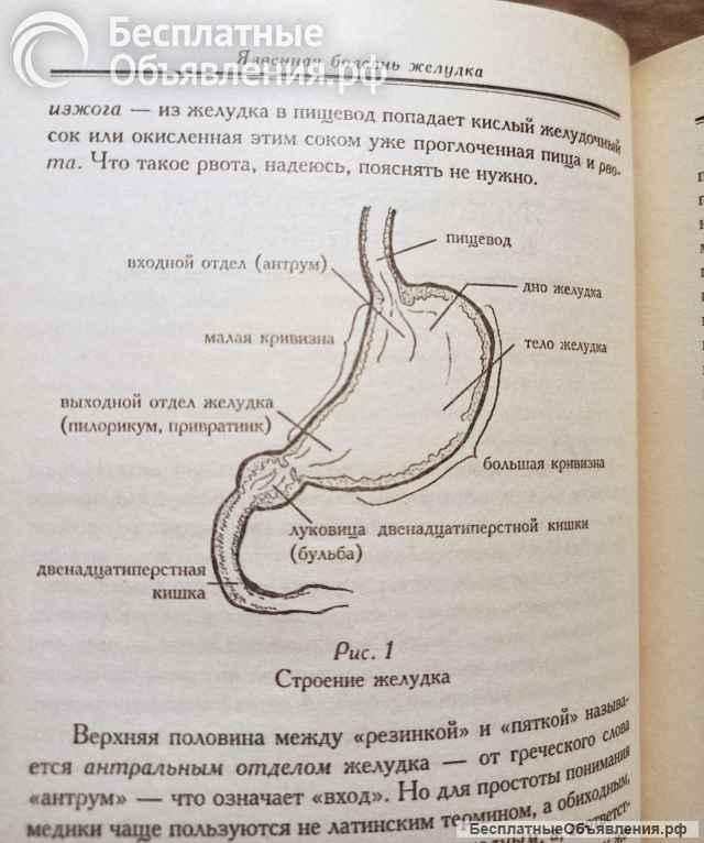 Николаева. Язва желудка: пути эффективного лечения