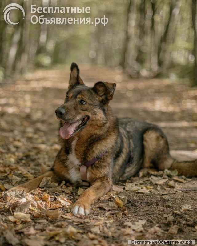 Невероятно ласковая Эсми ищет своего человека