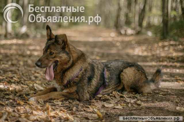 Невероятно ласковая Эсми ищет своего человека