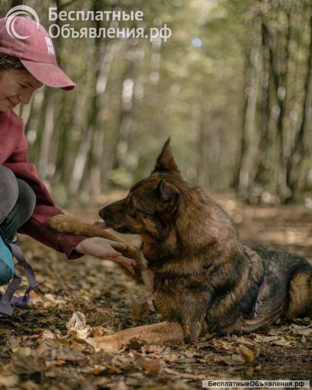 Невероятно ласковая Эсми ищет своего человека