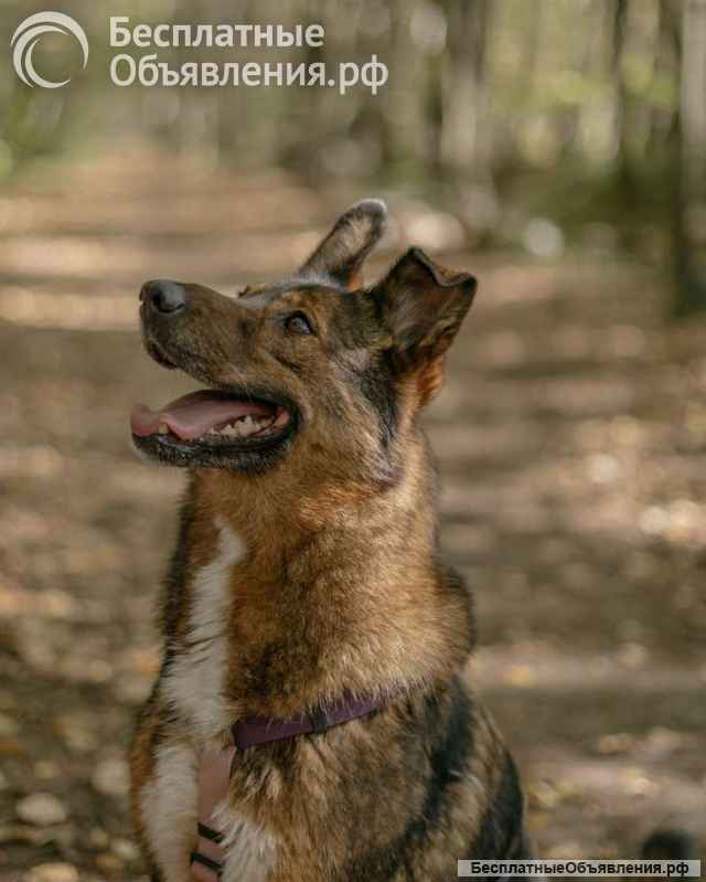 Невероятно ласковая Эсми ищет своего человека
