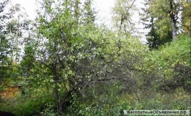 Земельный участок 24 сотки Королёв