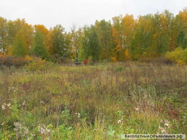 Земельный участок СНТ Надежда