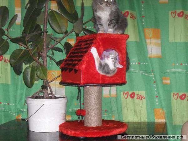 Домик для кошки