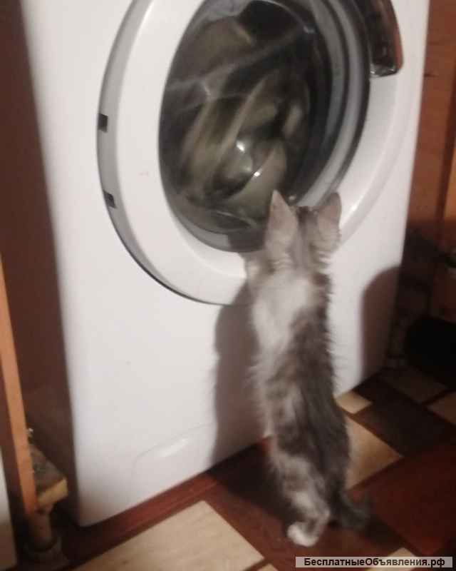 Ремонт стиральных машин