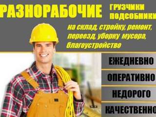 Предоставим разнорабочих