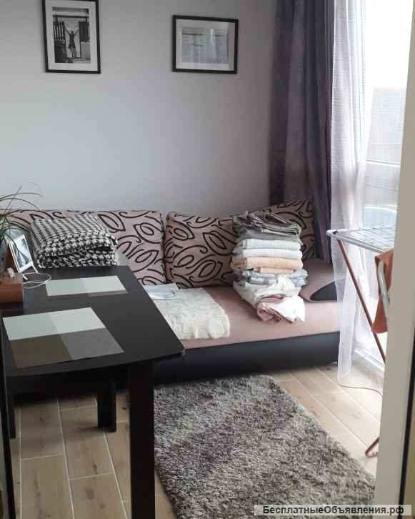 Еврооднушка