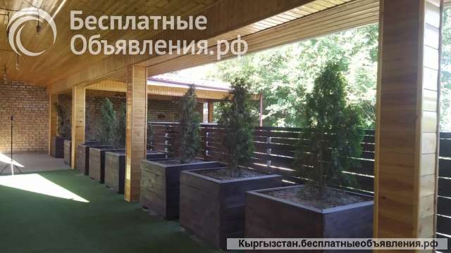2 действующих бизнеса (швейный цех и сауна), б/п