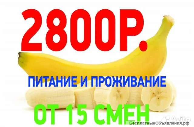 Упаковщик, вахта, Москва, от 2500, от 15/15, питание, проживание
