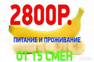 Упаковщик, вахта, Москва, от 2500, от 15/15, питание, проживание