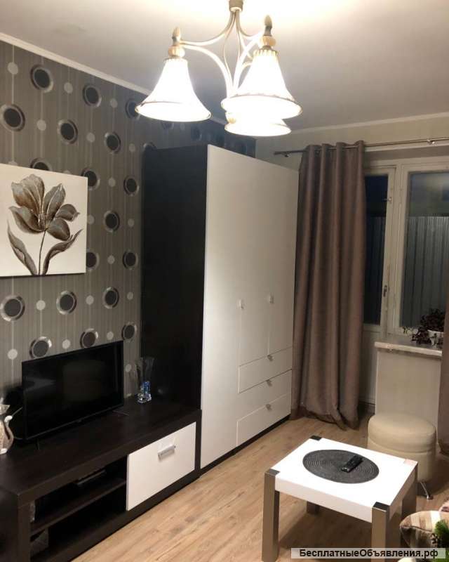 Однокомнатная с ремонтом в Дубне