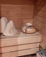 Евротрешка с мини-сауной все включено без залога