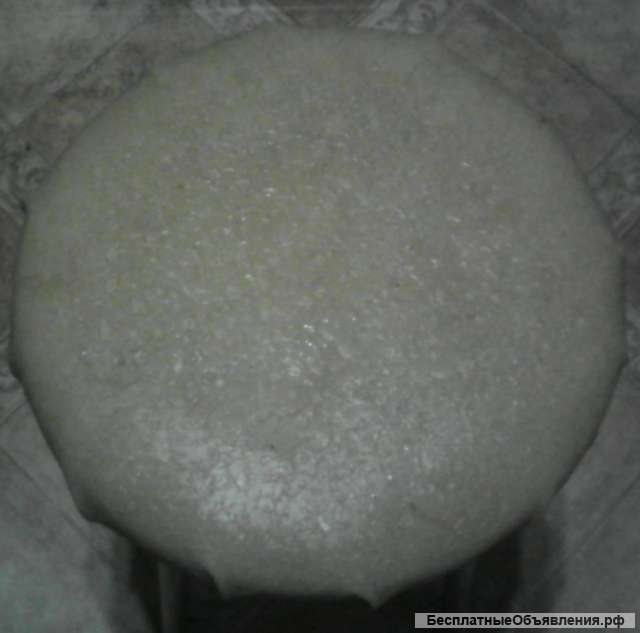 Барные стулья (3 шт.)