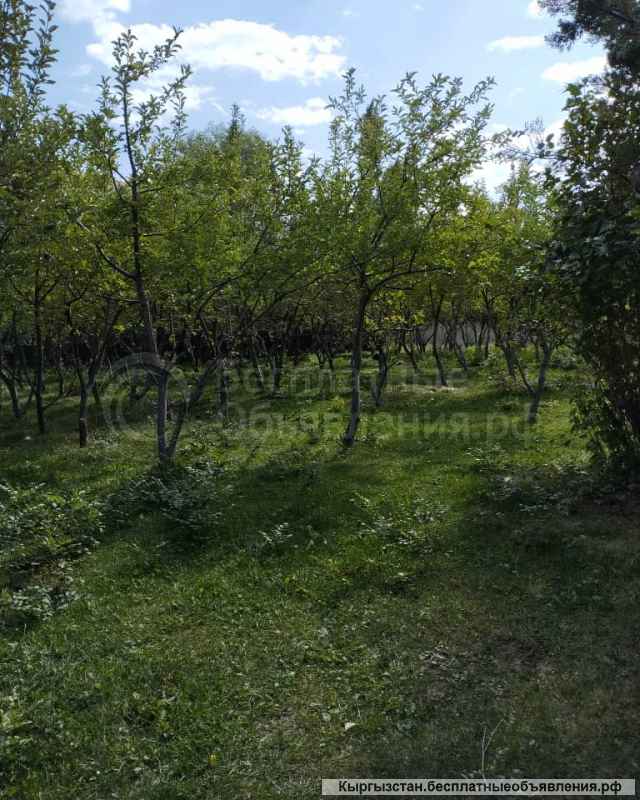 Кошара, участок 1 ГА, с.Тош Булак (Белогорка), б/п
