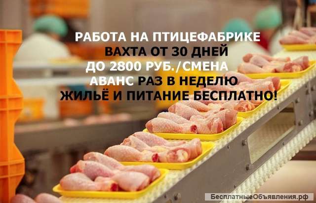 Разнорабочий на птицефабрику (вахта) Питание + жильё в Москве