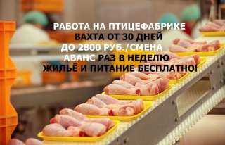 Разнорабочий на птицефабрику (вахта) Питание + жильё в Москве