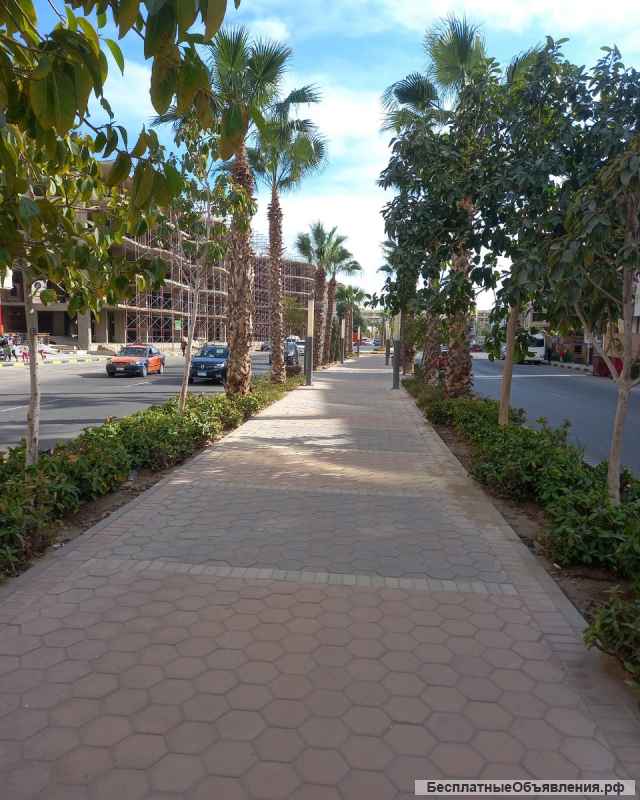 Квартира в Хургада (Египет)