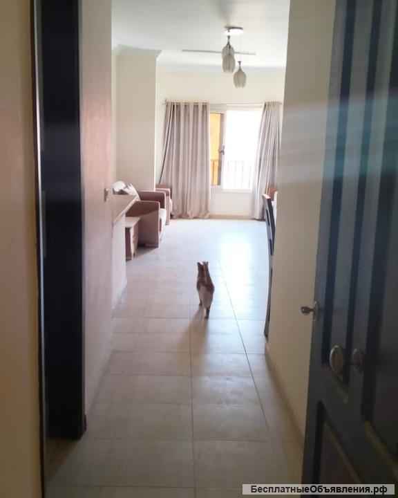 Квартира в Хургаде в Каусер (Египет)