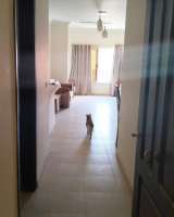 Квартира в Хургаде в Каусер (Египет)